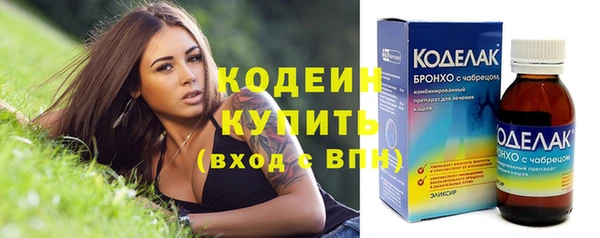 амф Бородино