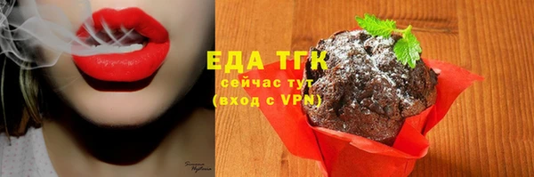 спиды Новозыбков