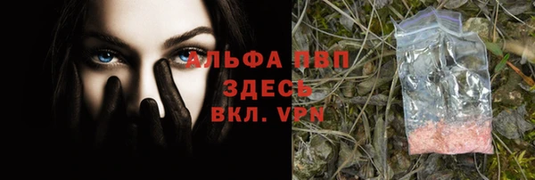 амф Бородино