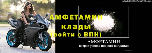 амф Бородино
