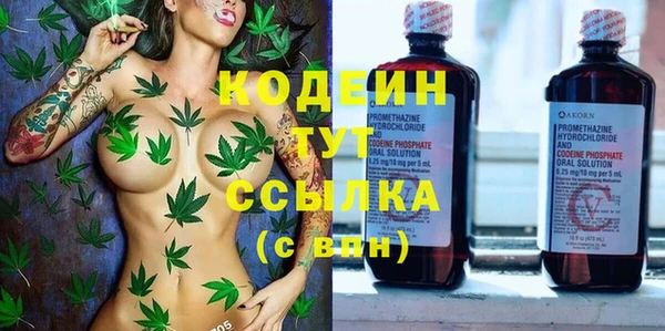 амф Бородино