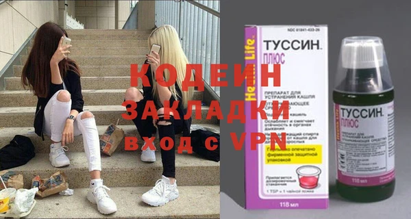амф Бородино