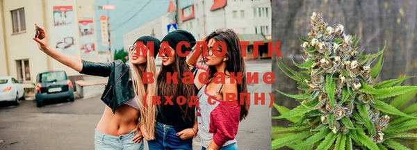 амф Бородино
