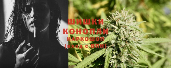 амф Бородино