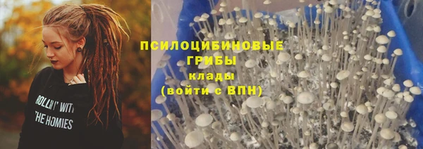 амф Бородино