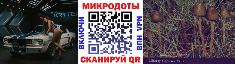 Купить где  Белебей  Галлюциногенные грибы GOLDEN TEACHER 